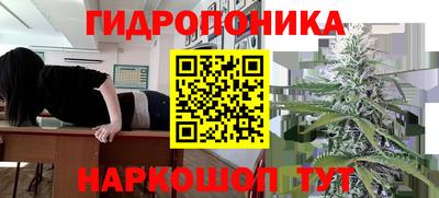 мяу мяу мука Нягань