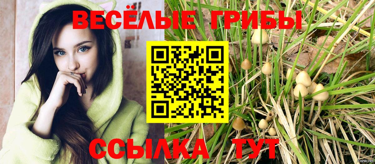 Сунжа  Галлюциногенные грибы MAGIC MUSHROOMS  Галлюциногенные грибы прущие грибы  Вход с VPN 